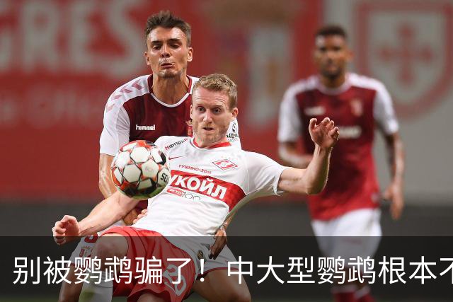 别被鹦鹉骗了！中大型鹦鹉根本不是宠物，是会飞的野生猛禽！